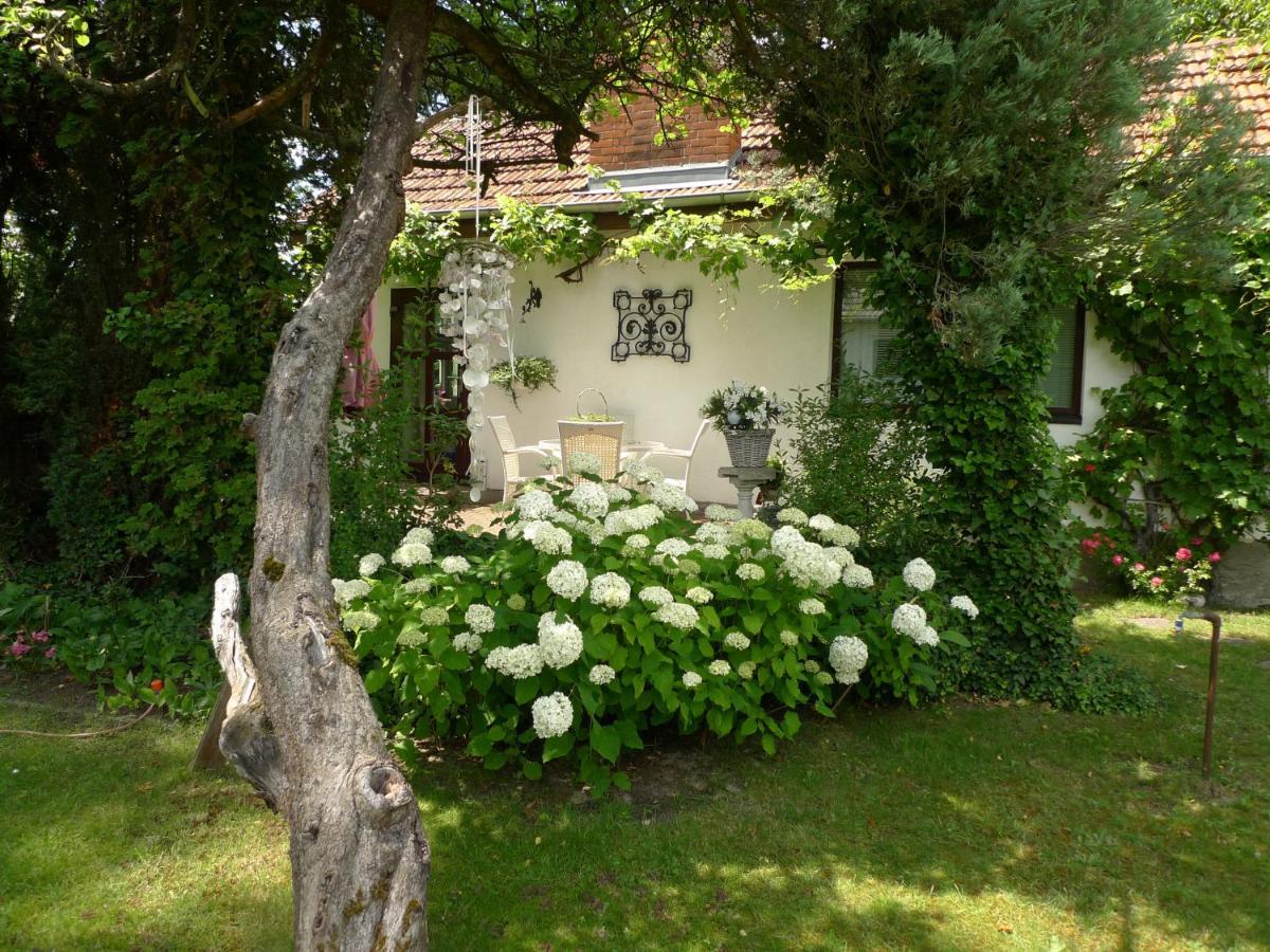 Gemuetliches Gaestehaus Berlin Bohnsdorf, Naehe Flughafen Schoenefeld エクステリア 写真